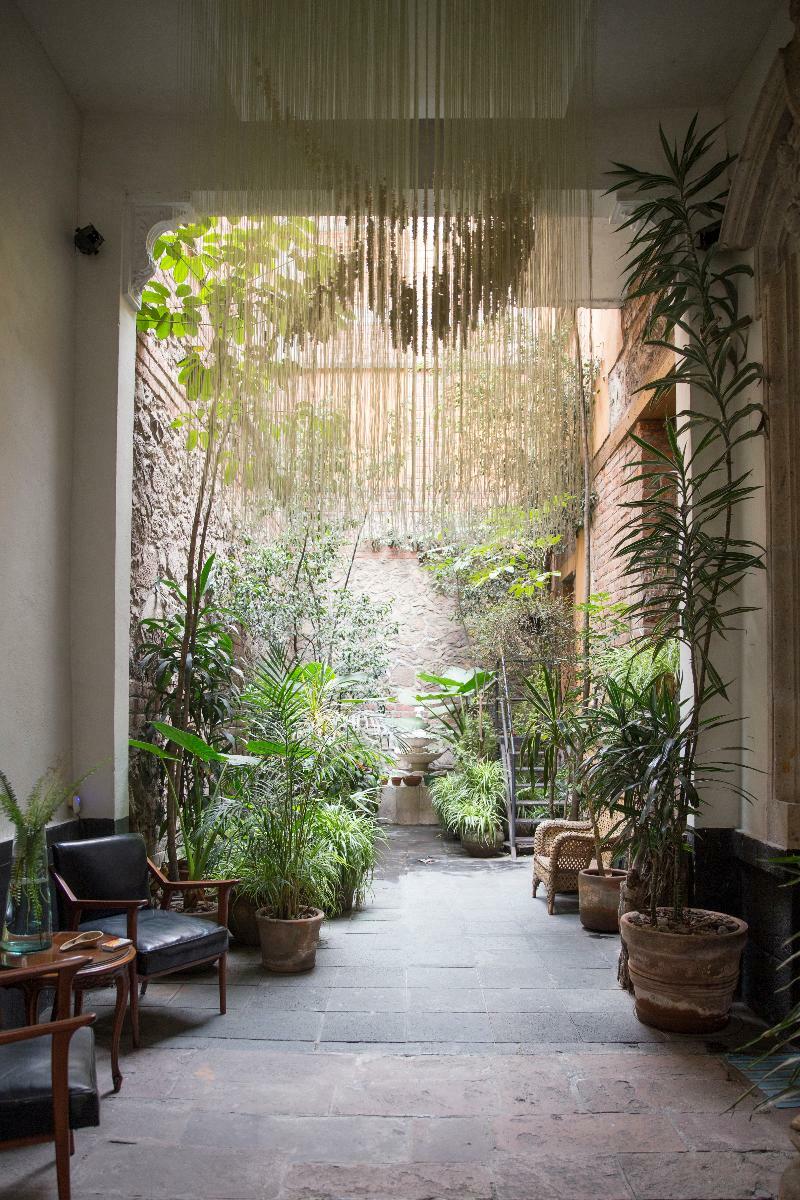 El Patio 77 B&B Ciudad de México Exterior foto